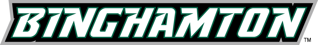 Binghamton Bearcats 2001-Pres Wordmark Logo v3 iron on transfers for T-shirts